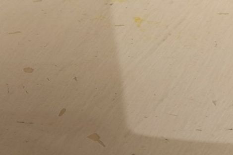 Photo of property in 66 South Street, Blenheim, 7201