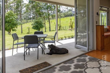 Photo of property in 589 Inland Road, Helensville, 0875