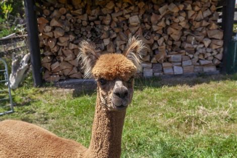 Photo of property in 105 Waterfall Road, Paraparaumu, 5032