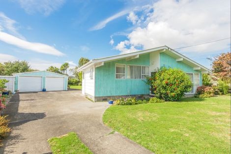 Photo of property in 20 Ward Street, Aramoho, Whanganui, 4500