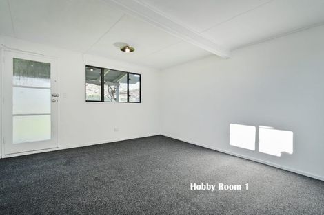 Photo of property in 817 Lyell Street, Akina, Hastings, 4122