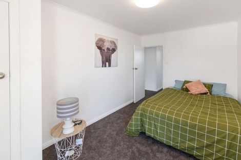 Photo of property in 17 Dorset Street, Levin, 5510