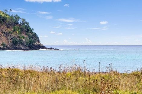 Photo of property in 24 Rawinia Place, Te Kaha, 3199