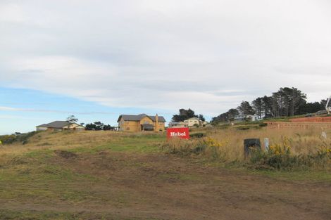 Photo of property in 31 Highgrove, Saint Clair, Dunedin, 9012