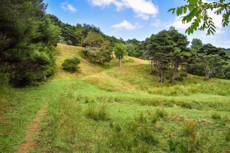 Photo of property in 133 Caton Road, Waitakere, Auckland, 0782