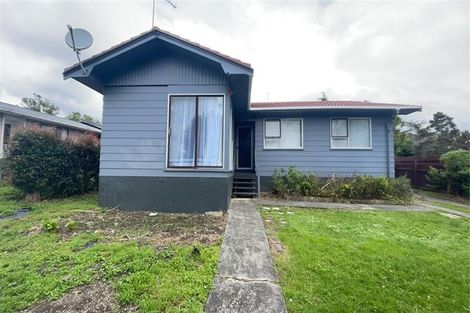 Photo of property in 41 Larissa Avenue, Henderson, Auckland, 0610