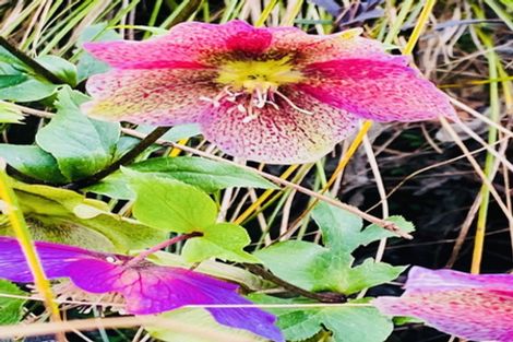 Photo of property in 185 Pongakawa Valley Road, Lake Rotoma, Rotorua, 3074