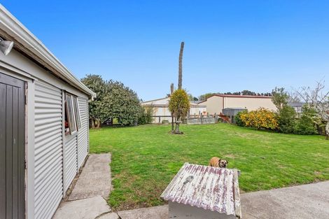 Photo of property in 24 Tawa Street, Edgecumbe, 3120
