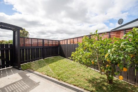 Photo of property in 13a Madgwick Place, Ngatea, 3503