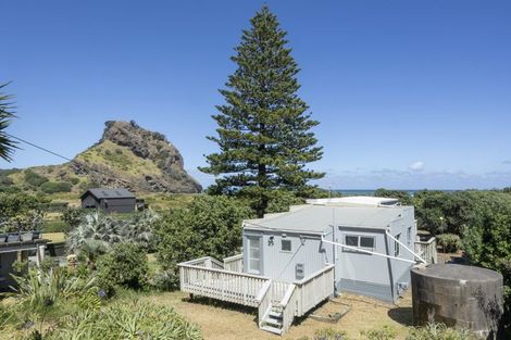 Photo of property in 95 Marine Parade North, Piha, New Lynn, 0772
