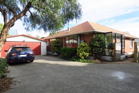 Photo of property in 135 Fisher Avenue, Beckenham, Christchurch, 8023