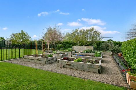 Photo of property in 1 Cliftondell Close, Matamata, 3400