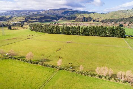 Photo of property in 106b Pohangina Road, Ashhurst, Palmerston North, 4470