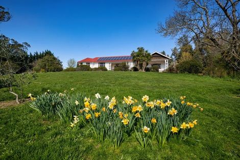 Photo of property in Connemara, 242 Sisters Road, Ferniehurst, Cheviot, 7384