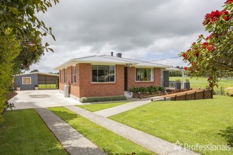 Photo of property in 19 Haswell Street, Eketahuna, 4900
