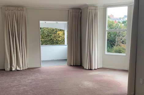 Photo of property in 4 Airedale Street, Dunedin Central, Dunedin, 9016