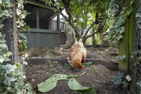 Photo of property in 17 Bampton Street, Burwood, Christchurch, 8061