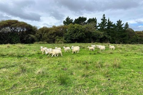 Photo of property in 18 Maori Creek Road, Marsden, Greymouth, 7872