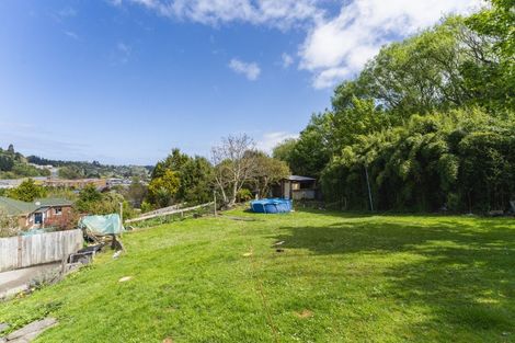 Photo of property in 25 Manchester Street, Bradford, Dunedin, 9011