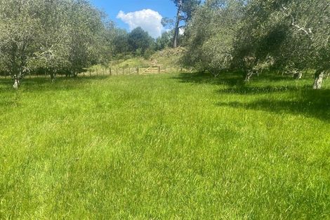 Photo of property in 14 Mcgiven Place, Coatesville, 0793