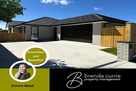 Photo of property in Main Street, Roslyn, Palmerston North, 4414