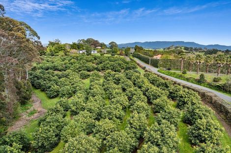 Photo of property in 24b Pahoia Road, Whakamarama, Tauranga, 3172