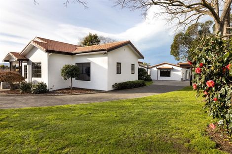 Photo of property in 221a Redwood Street, Witherlea, Blenheim, 7201