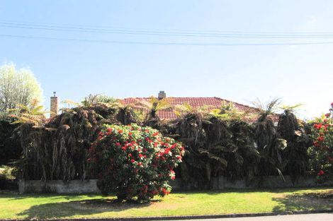 Photo of property in 3 Arthur Street, Glenholme, Rotorua, 3010