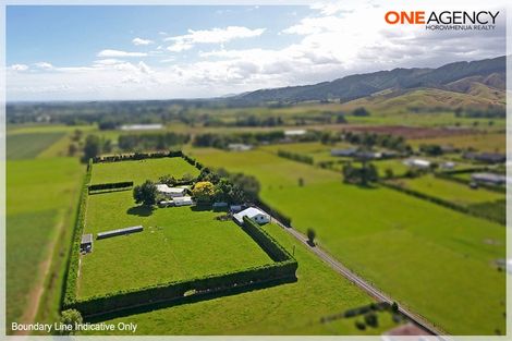 Photo of property in 1071 Queen Street East, Levin, 5510