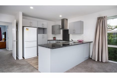 Photo of property in 3/52 Opawa Road, Waltham, Christchurch, 8023