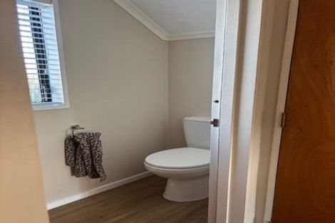 Photo of property in 17 Mcarthur Street, Terrace End, Palmerston North, 4410
