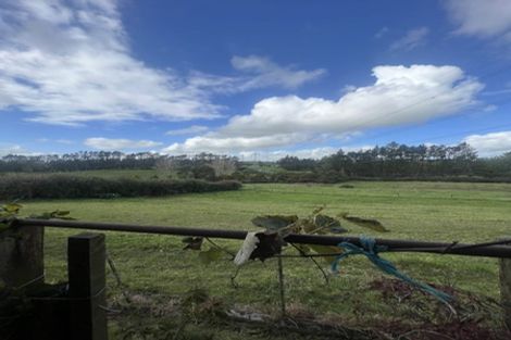 Photo of property in 155 Cuff Road, Patumahoe, Pukekohe, 2679