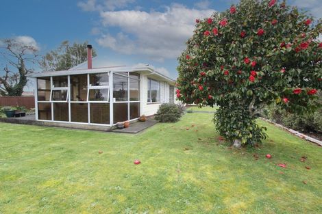 Photo of property in 17 Kiwi Street, Pahiatua, 4910