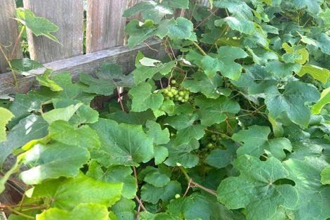 Photo of property in 15 Whio Street, Pongaroa, 4991