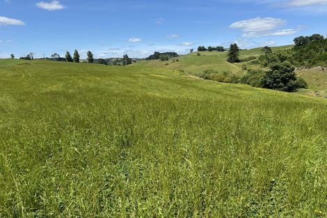 Photo of property in 829 Honikiwi Road, Honikiwi, Otorohanga, 3973