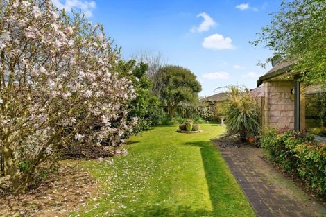 Photo of property in 20 Sharp Place, Matamata, 3400