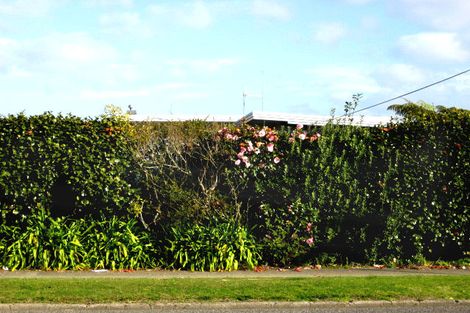 Photo of property in 43 Bridge Street, Whakatane, 3120