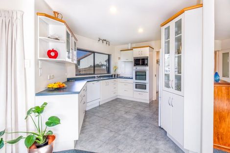 Photo of property in 19 Palmbrook Avenue, Havelock North, 4130
