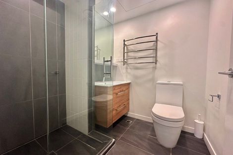 Photo of property in Vsp South, 202/166 Victoria Street, Te Aro, Wellington, 6011