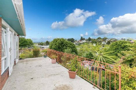 Photo of property in 38 Station Street, Tirau, 3410