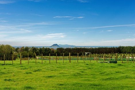 Photo of property in 889a Oropi Road, Oropi, Tauranga, 3173