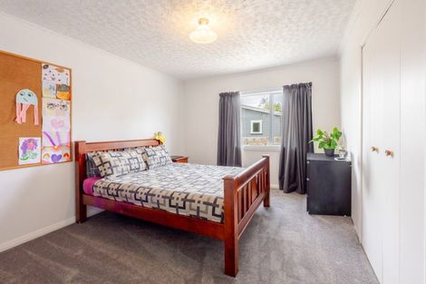 Photo of property in 38 Francis Drake Street, Waipukurau, 4200