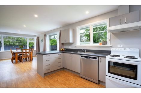 Photo of property in 46 Mountfort Street, Spreydon, Christchurch, 8024