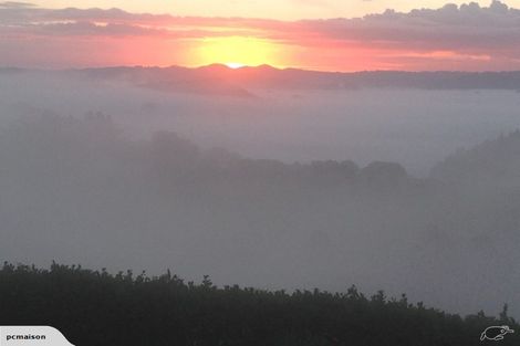 Photo of property in 314 Vinegar Hill Road, Kauri, Kamo, 0185