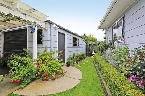 Photo of property in 302 Leo Street, Akina, Hastings, 4122