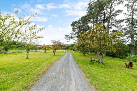 Photo of property in 183 Rautawhiri Road, Helensville, 0875