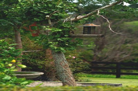 Photo of property in 131 Oyster Point Road, Kaukapakapa, Warkworth, 0984