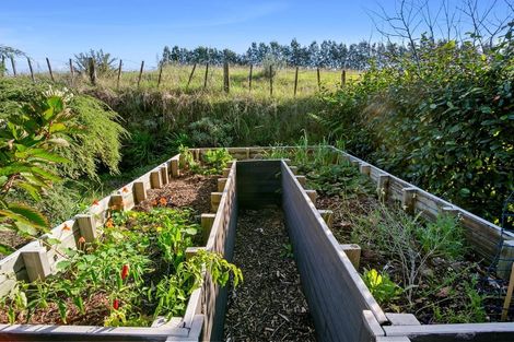 Photo of property in 1-3 Koutunui Road, Athenree, Katikati, 3177