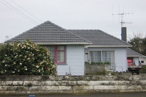 Photo of property in 24 Mabel Street, Levin, 5510