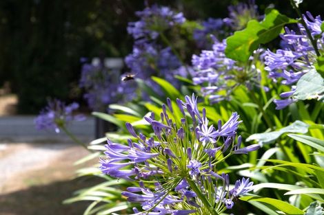 Photo of property in 180 Kent Street, Kingston, Athol, 9793